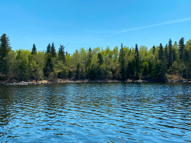 Lot 7 Big Narrows - 2.47 Acres, 219 feet of Frontage! in Land for Sale in Kenora - Image 2