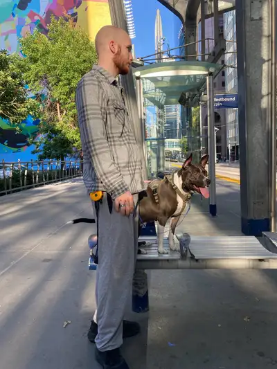 My name is Alexander and me and my 50 lbs dog are looking for a room to rent in the near future. I d...