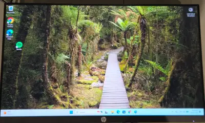 HP 24" Monitor *no stand*, View more