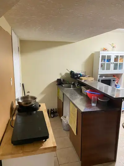One bedroom studio basement.
