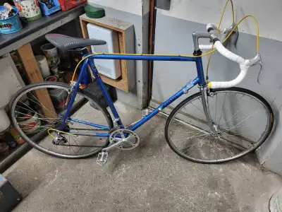 Velo de course fiori bleu 12 vitesses roues 700c cadre 24po, View more