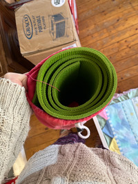 Yoga matt and case 