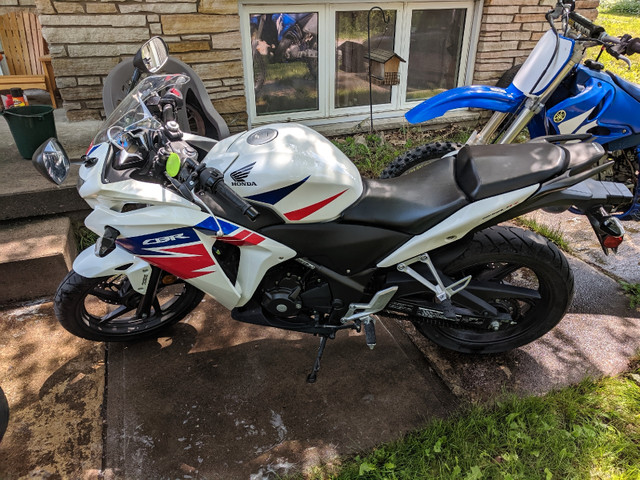 2012 Honda CBR250r abs in Sport Bikes in Timmins