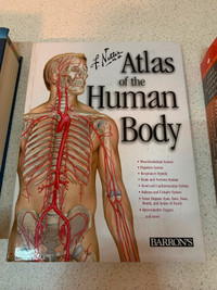 Atlas of the human body