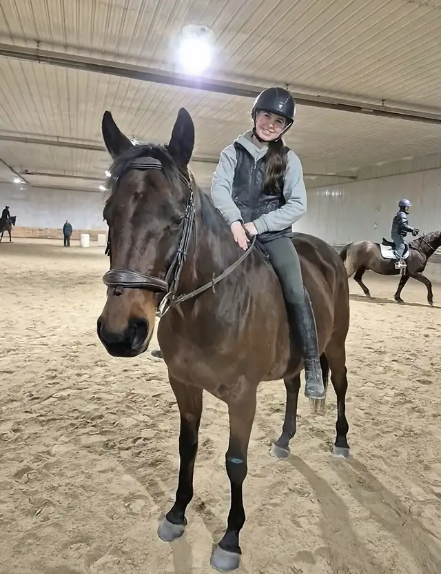 Discounted Fall Introductory Riding Lessons @ Miracle Ranch545245144988395522