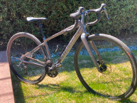 Vélo Specialized Diverge E5, 49 pouces à vendre