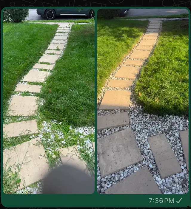 Leaf Raking, Weed removal,  Tree Cut,Mulch, & Tree cut services in Lawn, Tree Maintenance & Eavestrough in City of Toronto - Image 9