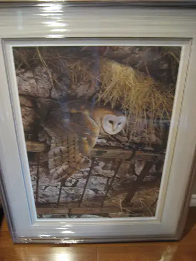 REDUCED CARL BRENDERS MYSTERIOUS VISITOR BARN OWL LE, View more