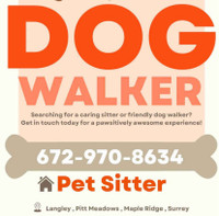 Pet sitter and Dog walker