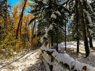 Winter wonderland with private hot tub in British Columbia in Canada - Image 6