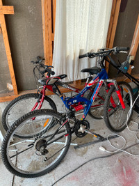 Bikes in need of some small repairs
