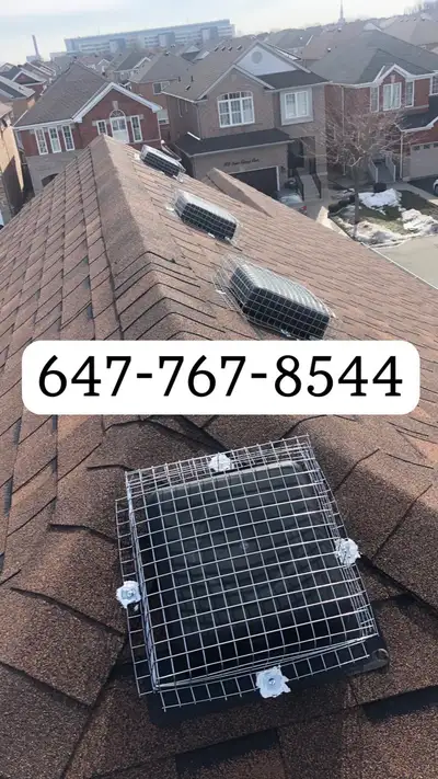 Raccoon Removal, Squirrel Removal, Wildlife Removal, View more