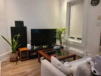 Vaste 4 1/2 near Vendome Metro nicely renovated, located on a quiet street. The unit feature a front...