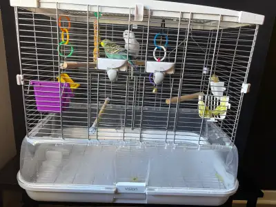 Bird  with the cage, View more