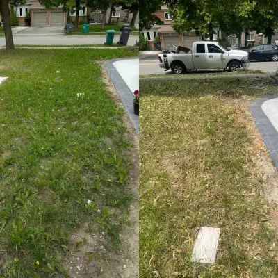 All kinds of weed kill with one application 100%