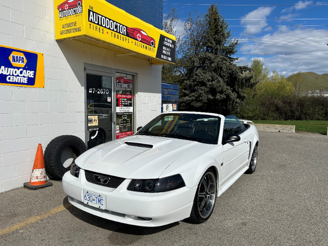 2003 Ford Mustang GT in Cars & Trucks in Kelowna - Image 2