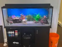 Aquarium 55 gallon - Fluval