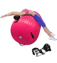 Large Air Barrel Gymnastics Roller Yoga Balance Trainer With Pum