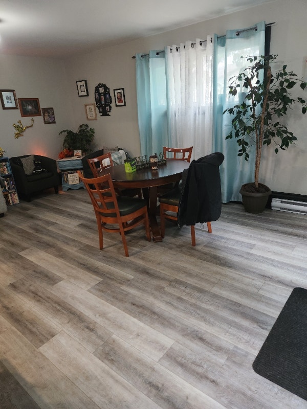 3 Bedroom splitlevel apartment. Chesterville Ont. May 15 Long Term