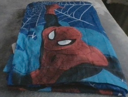 Spider Man Sleeping Bag, with carrying bag in Fishing, Camping & Outdoors in Kitchener / Waterloo - Image 3