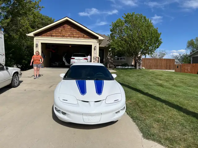 beautiful 98 firebird576046251315056642