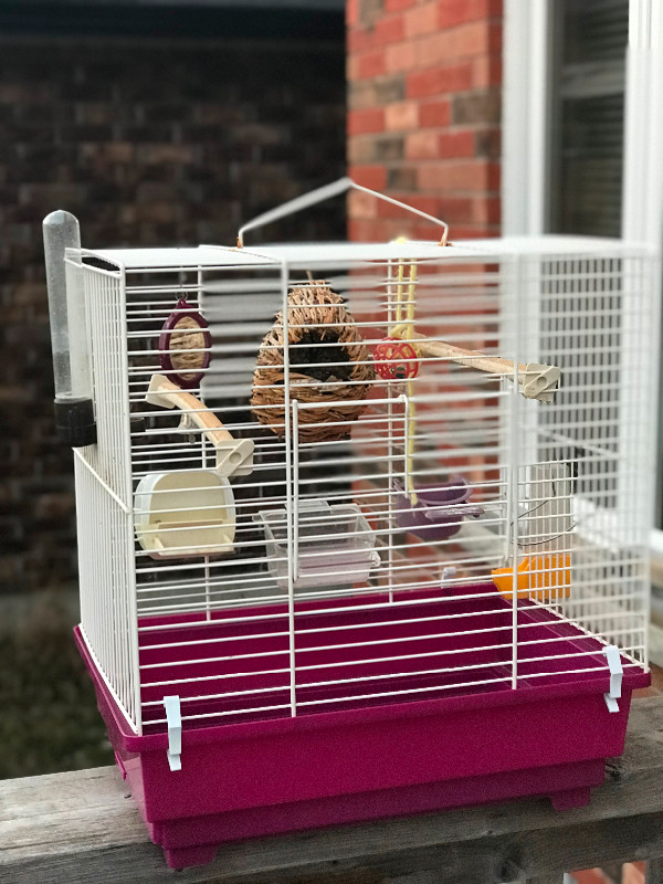 Bird cage with lots of accessories in Accessories in Peterborough - Image 3