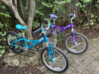 Trek 20” , 6-speed Girl's Mountain Bikes