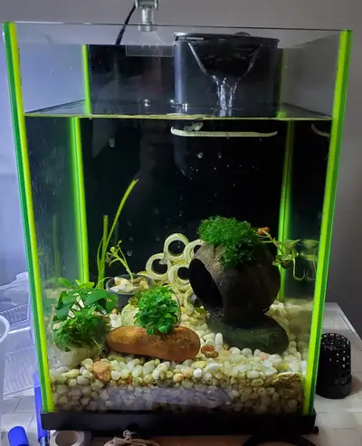 Aquarium 5 gallon, View more