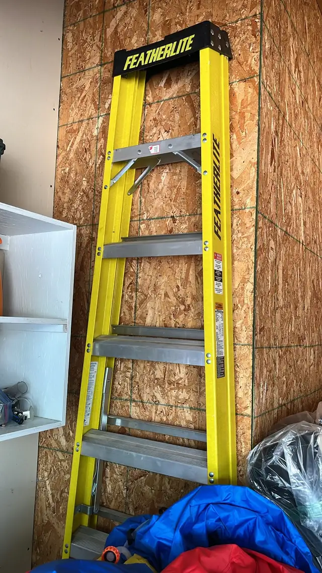 ladder new