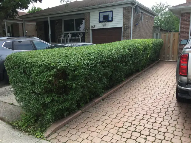 landscaping in Snow Removal & Property Maintenance in Mississauga / Peel Region - Image 7