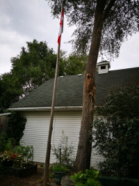 Flag pole hops pole 