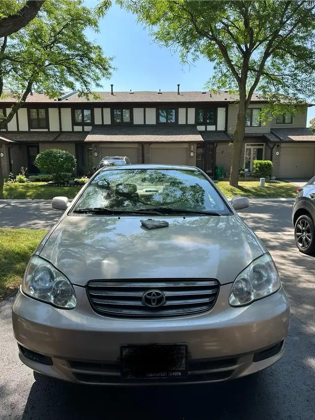 Mobile Auto Detailing/Car Wash63005664649473122