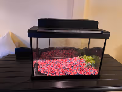 Fish Tank for sale. Lights up. Must pick up.