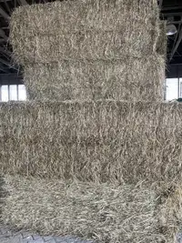Hay For Sale 