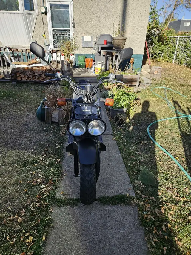 2005 Honda Ruckus in Scooters & Pocket Bikes in Edmonton - Image 4