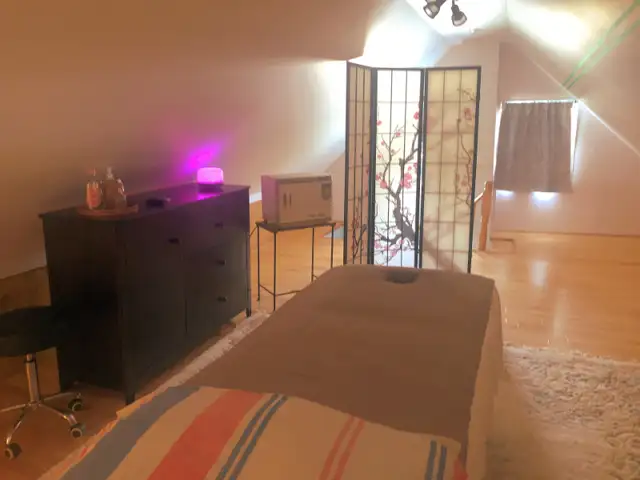 Shiatsu therapeutic massage (AMQ)63581888745857121