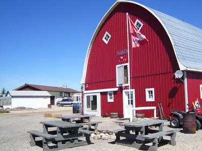ACREAGE FOR SALE BY OWNER: $965,000.00 Location: NEAPOLIS, Alberta– Mountain View County (Google it...