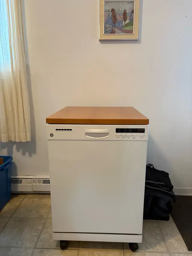 lave vaisselle sur roulettes  in Dishwashers in Trois-Rivières - Image 8