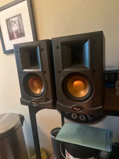 Gently used bookshelf speakers, lots of life left in them.
