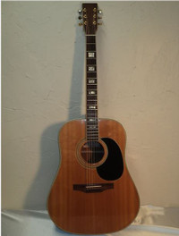 Wanted: Opus V Acoustic Guitar