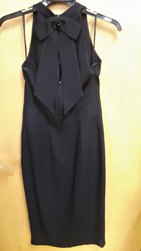 Robe longue chic SIMON CHANG / taille 8 dans Femmes - Robes et jupes  à Longueuil/Rive Sud - Image 2
