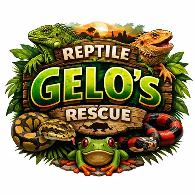Reptile Rescue , View more