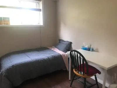 COZY 1 BDR IN A 2 BEDROOM BASEMENT (Centre Street) - $700