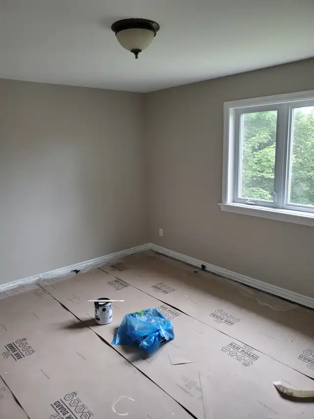 Painting & Plastering Quality Work64241767300737124