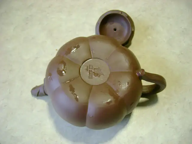 CHINA  ZHISA TEA POTS63234628432129123