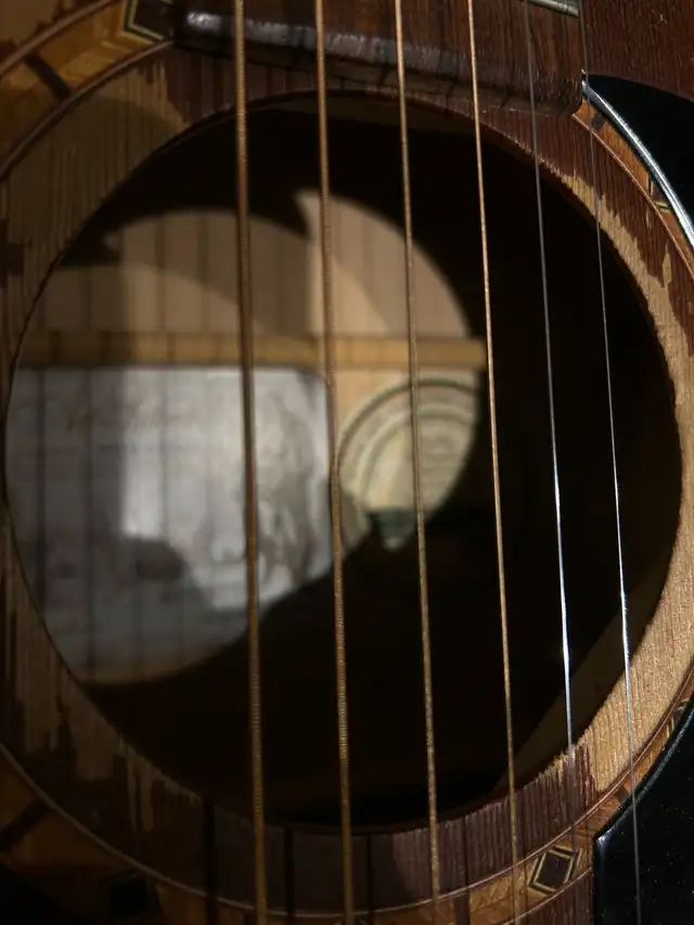 Art and Lutherie Acoustic 62863264770818123