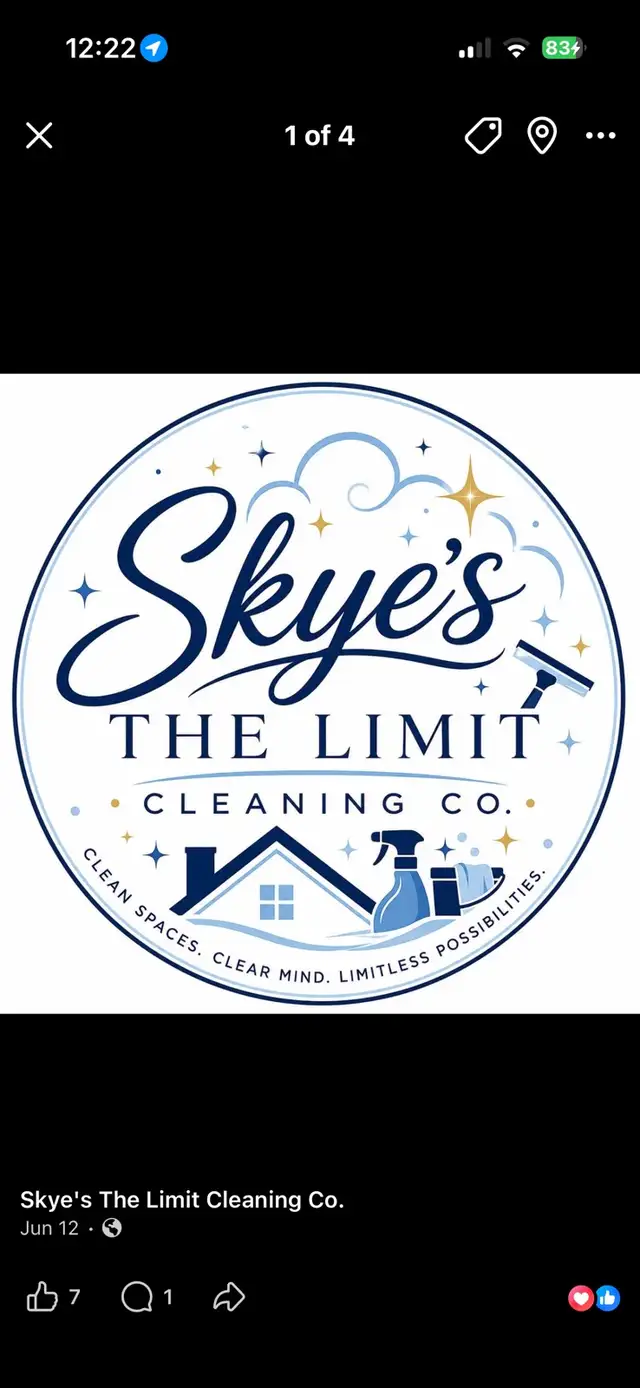 Skye’s The Limit Cleanings