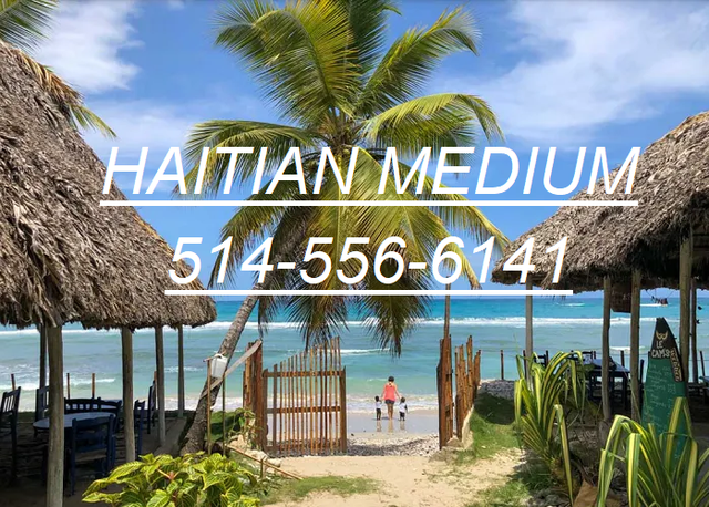 Haitian Medium438520520482508800