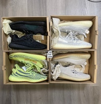 new Yeezys all size 8.5 Edmonton Edmonton Area Preview