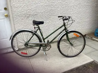 RoadKing Town and Country 3 spd. frame 20” .Fits 5’5” to 5’8”.